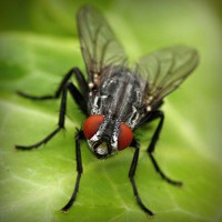 /album/b%d1%96olog%d1%96ya/photolia-a01-jpg/