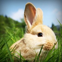 /album/b%d1%96olog%d1%96ya/photolia-a03-jpg/