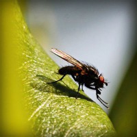 /album/b%d1%96olog%d1%96ya/photolia-a04-jpg/