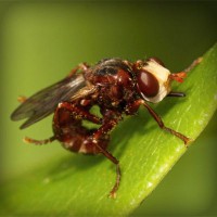 /album/b%d1%96olog%d1%96ya/photolia-a06-jpg/