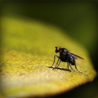 /album/b%d1%96olog%d1%96ya/photolia-a07-jpg/